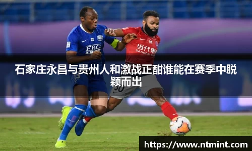 MK体育